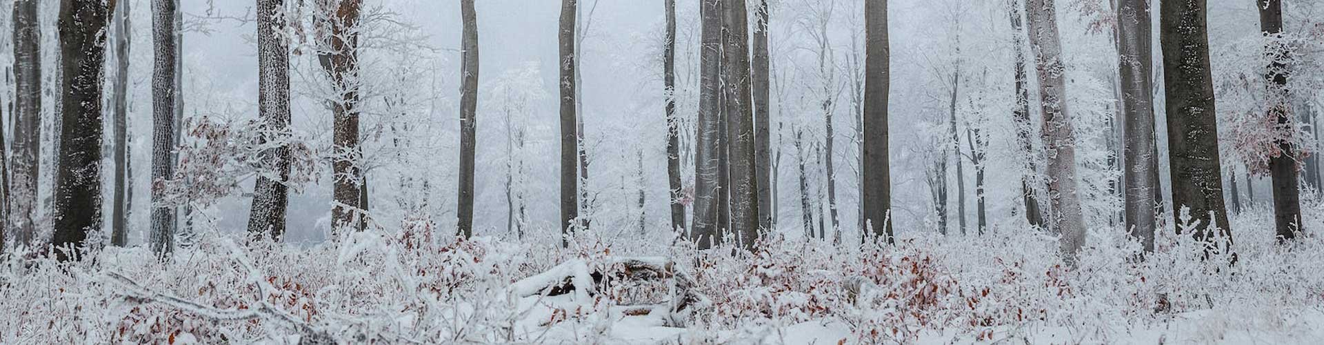 牡丹江雪乡